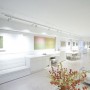 Modern Minimalist White Interior Decorating Apartment Design: Minimalist Apartment Interior Decorating