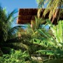 Casa Tropical House, Brazilian Holiday House Design: Casa Tropical House, Brazilian Holiday House Design   Garden