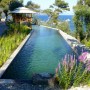 France Luxury and Elegant Villa: France Luxury And Elegant Villa   Garden