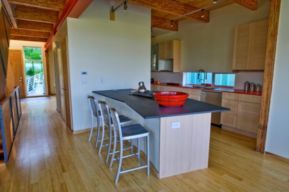 Green Eco-Friendly House Design in Columbia City - Kitchen