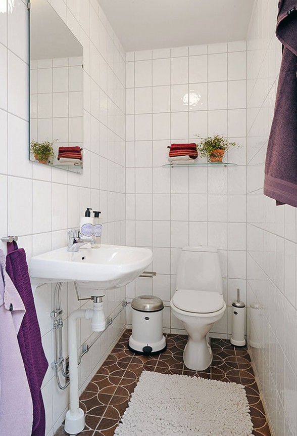Cozy Apartment Ideas with Bright Themes - Bathroom