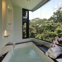 Exotic Home Architecture in Costa Rica: Exotic Home Architecture In Costa Rica   Jacuzzi