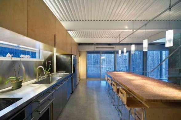 Modern Houses in Forest Environment, A Slop Home Design - Kitchen