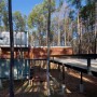 Modern Houses in Forest Environment, A Slop Home Design: Modern Houses In Forest Environment, A Slop Home Design   Yard