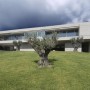 Solid House Architecture, Awesome Home for Holiday in Spain: Solid House Architecture, Awesome Home For Holiday In Spain   Garden
