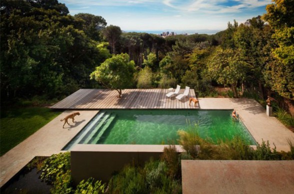 Beautiful House Architecture in South Africa, An Award Winner Design - Pool