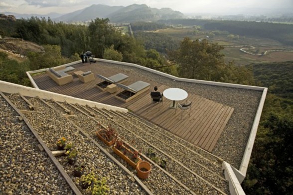 Beautiful Roof Garden in A Studio House - Roof Panorama