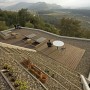 Beautiful Roof Garden in A Studio House: Beautiful Roof Garden In A Studio House   Roof Panorama