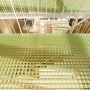 Unusual House Concept from Japanese Architecture: Unusual House Concept From Japanese Architecture   Staircase