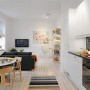 Contemporary Apartment Design in Small Loft Area and Bright Interior: Contemporary Apartment Design In Small Loft Area And Bright Interior