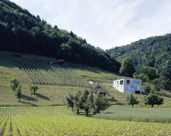 Contemporary Concrete House Design in Rural Landscape of Switzerland - Yard