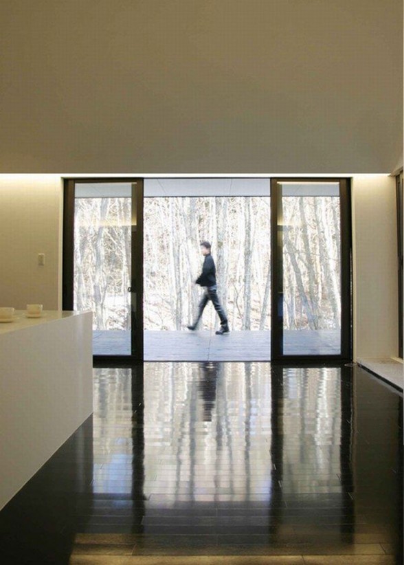 Forest House Design with Futuristic Architecture from Curiosity - Glass Entrance Door
