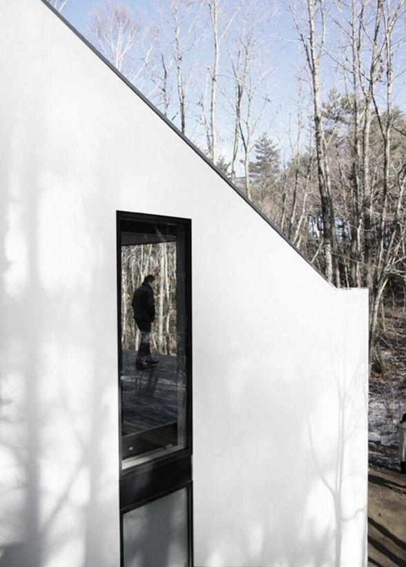 Forest House Design with Futuristic Architecture from Curiosity - Windows