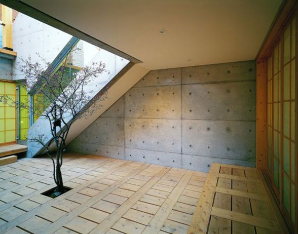 Great Combination of Wood and Concrete in a Courtyard House Design - Trees