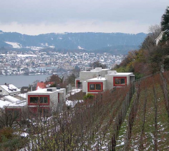 Han Bit House, Slope Concrete House Design in Switzerland by Burkhalter Sumi Architekten - Forest