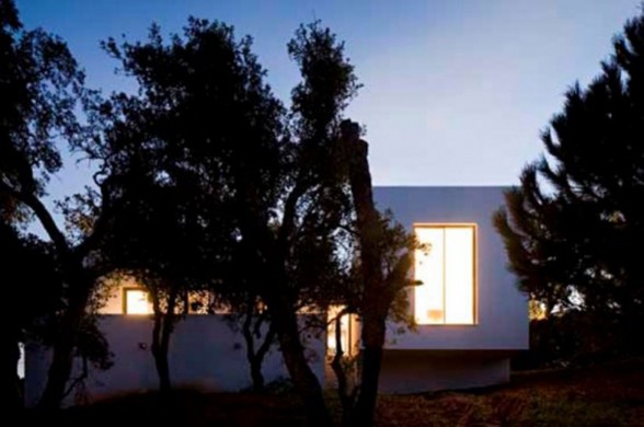 Miraventos, Modern House Design in Portugal by Eduardo Trigo de Sousa and ComA - Trees
