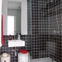 Modern Apartment Ideas for Young Professional: Modern Apartment Ideas For Young Professional   Bathroom
