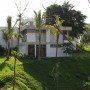 Sustainable Recommended Contemporary House Designs with Romantic Interior Plans: Eco Friendly Green Garden Exterior