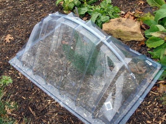 Plastic Greenhouse mini