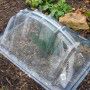 Plastic Greenhouse: Plastic Greenhouse Mini