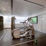 The Butterfly Home Design by Lippmann: Butterfly Home Gym Room