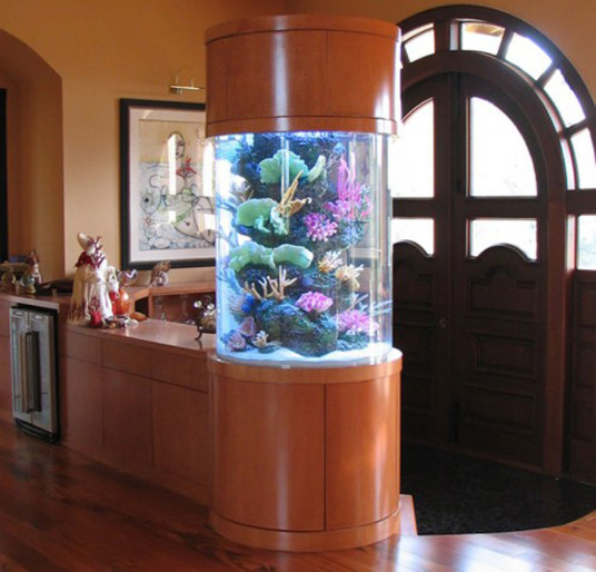 Contemporary Living Room Interiors with Multi Color Lighting Aquarium Design