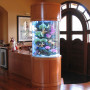 Multicolor Lighting LED for Christmas Tree: Contemporary Living Room Interiors With Multi Color Lighting Aquarium Design