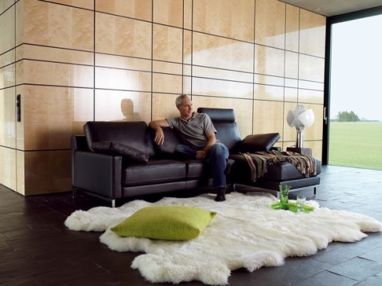 Astonishing Modern Black Color Leather Sleeper Rolf Benz Sofa