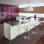 Italian Kitchen Design Marca: Elegant Modern Minimalist Italian Kitchen Design Purple Cabinets