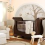 Nursery Decorating Ideas in Various Type: Baby Room Design Ideas, Baby Room, Bedroom
