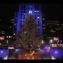 Most Beautiful Christmas Trees in the World: Beautiful Christmas Trees New York