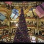 Most Beautiful Christmas Trees in the World: Beautiful Christmas Trees Paris