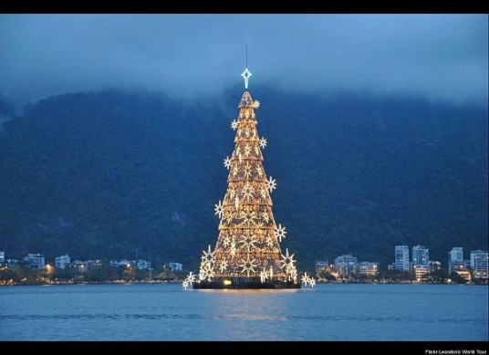 Beautiful Christmas Trees Rio De Janeiro