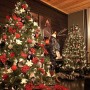 Creative Traditional Christmas Tree: Traditional Christmas Tree Photo