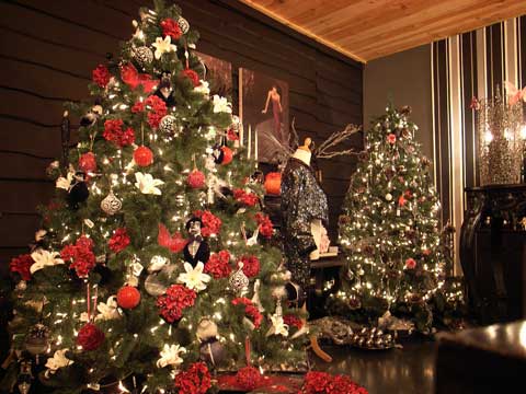 Traditional Christmas Tree Photo