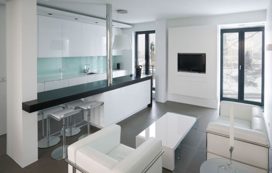 Contemporary Apartment Interior Design