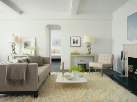 Contemporary Apartment Living Room Design