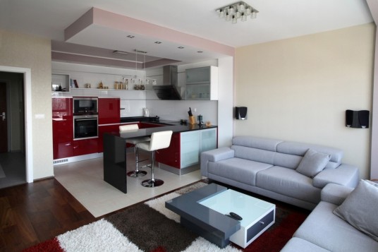 Contemporary Apartment Livingroom Design