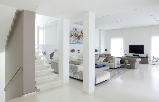 Living Room with White Colour