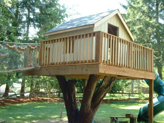 Tree house information