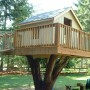 Tree House Design That is Best For You: Tree House Information