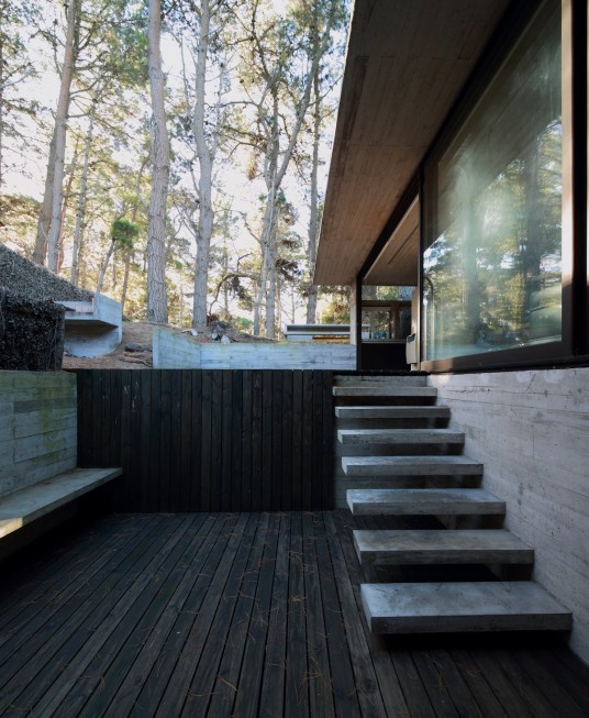 Wooden Property by Kidosaki Architects