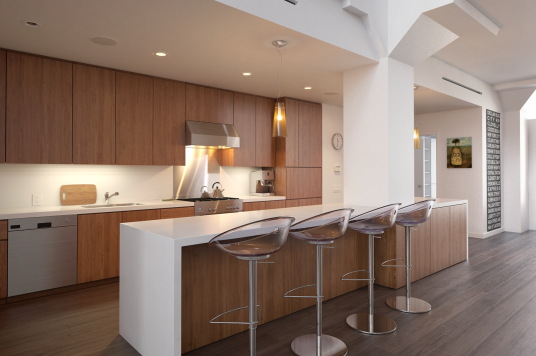 Modern Apartment Kitchen Design