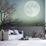 Wall Murals Ideas with Several Revealed Themes For Winter: Moon And Tree Wall Mural Ideas