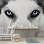 Wall Murals Ideas with Several Revealed Themes For Winter: Wolf Black And White Mural Painting