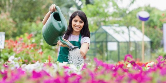 Make Sure Your Garden Stay Fresh With Beautiful Flowers