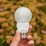 Brief 6 Eco-Friendly Habits That Will Save You Money: Use Energy Efficient Lighting